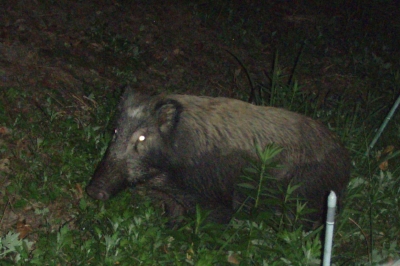 PA214488.jpg