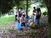 min-2009-08-19-11-31_oo.jpg