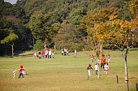 min-2009-10-22-10-05-39_ya.jpg