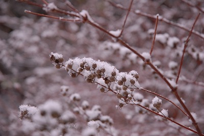 min-2009-12-18-09-48_ii.jpg