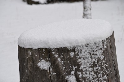 min-2010-01-13-11-36-37_ii.jpg