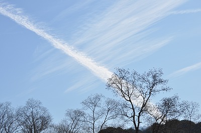 min-2010-01-19-11-36-09_ii.jpg