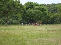 min-2010-05-25-10-20_aa.jpg
