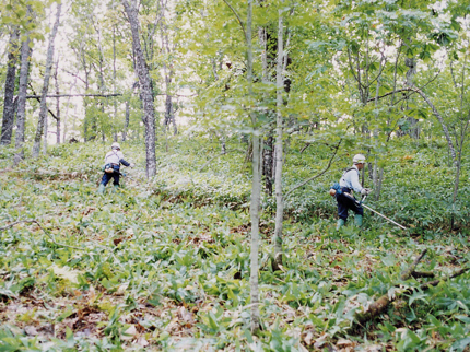 image01.jpg