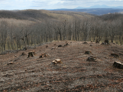 image06.jpg