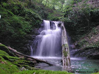 image003.JPG
