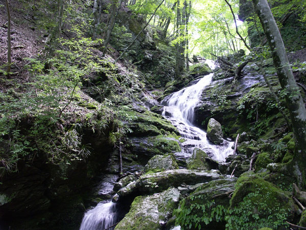 uruwasidani(gentou).JPG