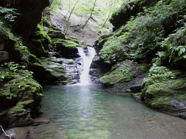 bentoudani.JPG