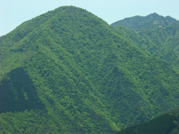 kayahara.jpg