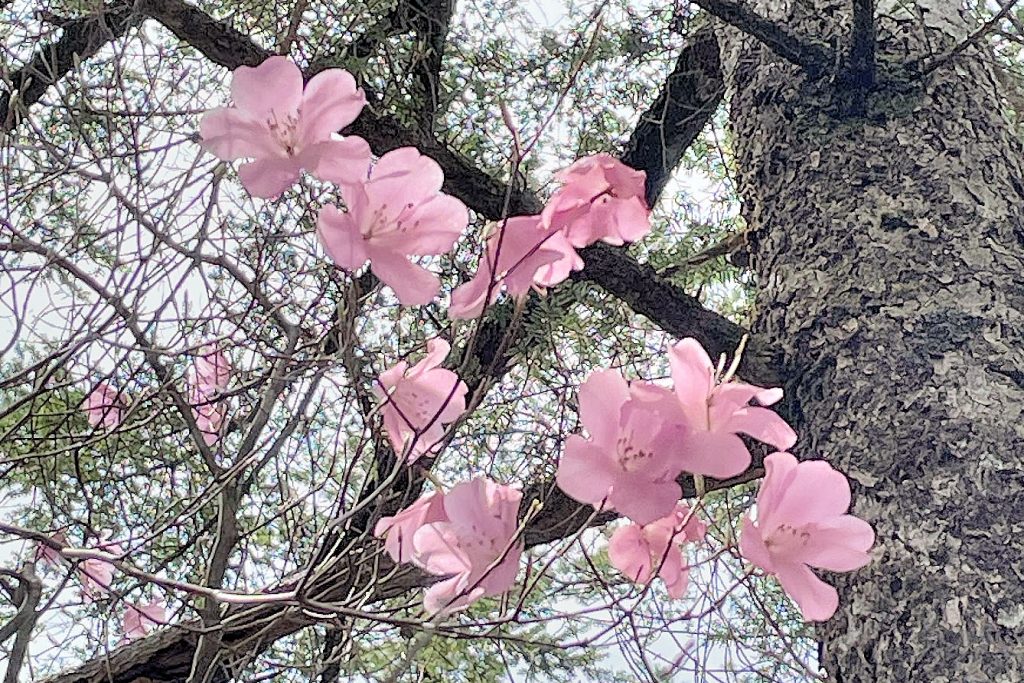 2024-04-07-12-20-00_kk-